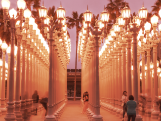 LACMA Art Museum Acquires NFT Collection With CryptoPunk, Art Blocks