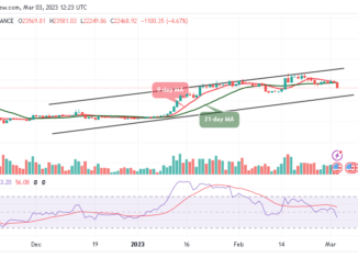 Bitcoin Price Prediction for Today, March 3: BTC/USD Heads to the South; Price Could Hit $23k Support