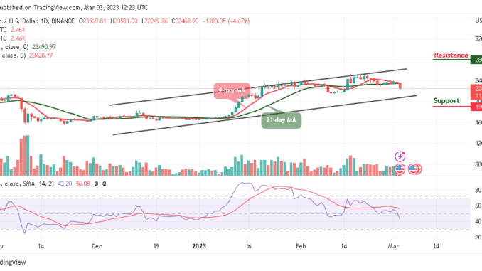Bitcoin Price Prediction for Today, March 3: BTC/USD Heads to the South; Price Could Hit $23k Support