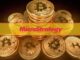 MicroStrategy Took its Bitcoin Holdings to 140K With Another Purchase