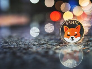 Shiba Inu price prediction as Dogecoin goes vertical