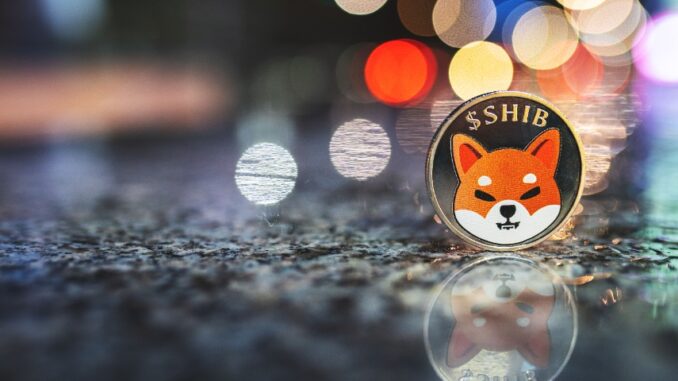 Shiba Inu price prediction as Dogecoin goes vertical