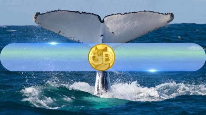 Whale Activity Backs Dogecoin's (DOGE) Surge Above $0.16: Data