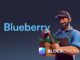 Decentralized Prime Brokerage Terminal Blueberry Protocol Raises $2.5M