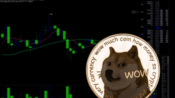 Dogecoin rallies